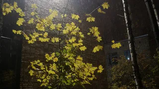 Холода возвращаются: Гидрометцентр сообщает о морозах и мокром снеге с 9 июля