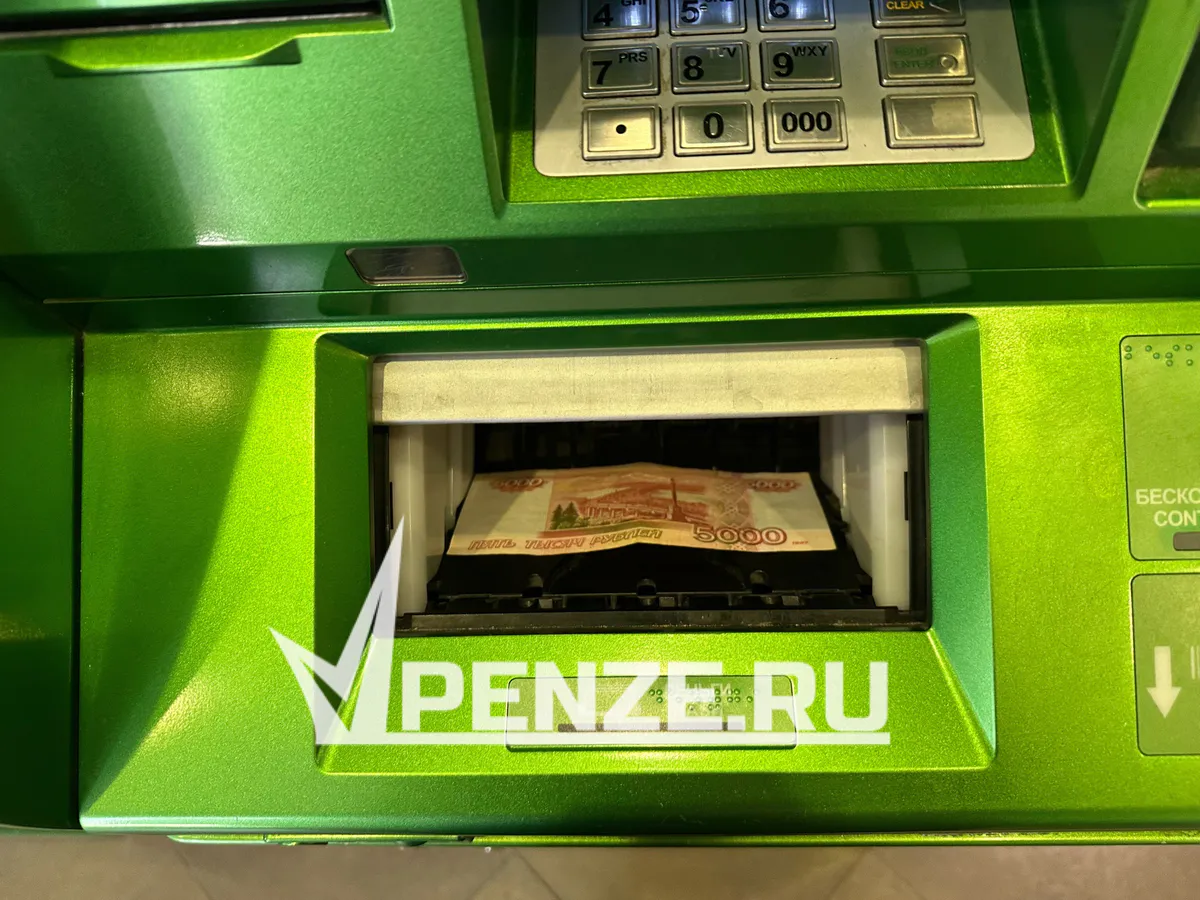 28-летняя жительница Иссинского района украла деньги у сестры