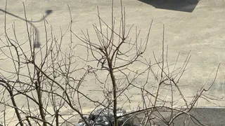 Мусор не вывозят, а контейнеры ездят по дворам и влетают в авто