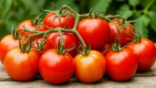 Эти томаты растут при любых погодных условиях и всегда дают большой урожай - дачники охотятся за этими сортами