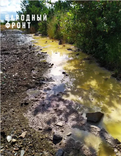 В Челябинской области угроза экологической катастрофы: ядовитые стоки отравляют озеро Синара