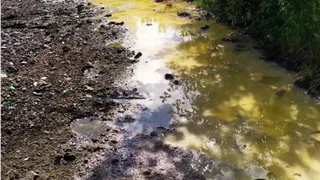 В Челябинской области угроза экологической катастрофы: ядовитые стоки отравляют озеро Синара