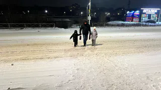 Верховный Суд поставил точку: надо ли водителю ждать, пока пешеход полностью перейдет "зебру"