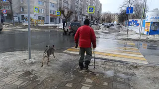 Еще не на зебре, но уже прав: почему вы обязаны пропустить пешехода за 2 метра до перехода