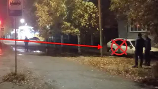 В Печоре пьяный водитель врезался в дерево