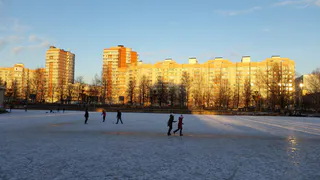 Главный каток Рязани откроется 5 января