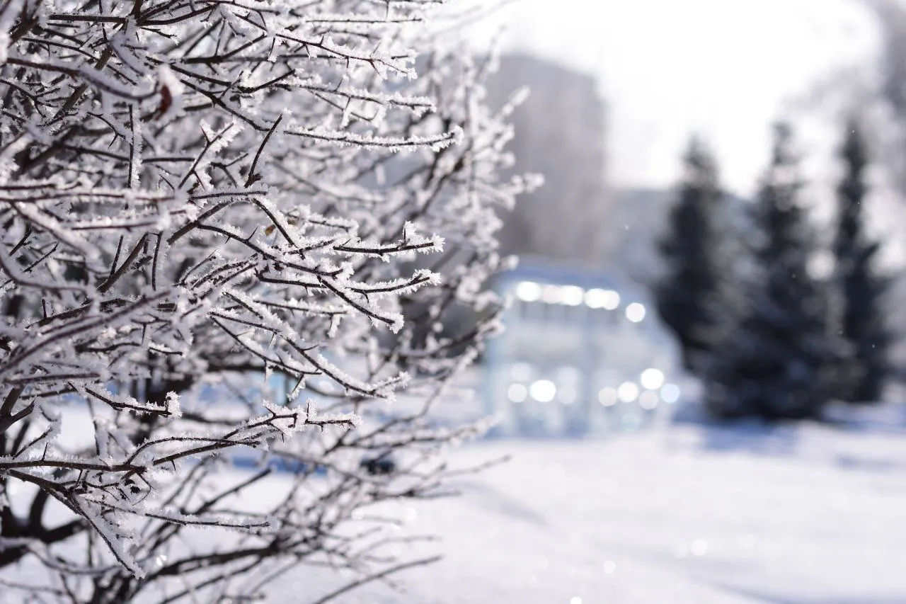 Мороз до -16 градусов и гололедица ожидает татарстанцев 26 февраля