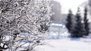 Мороз до -16 градусов и гололедица ожидает татарстанцев 26 февраля