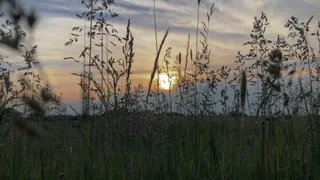 Теплее нормы: в России прогнозируют “персиковое” лето