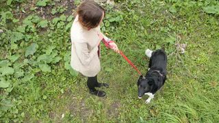 Превратили стадион в "минное" поле: рязанка жалуется на выгул собак на территории школы №36