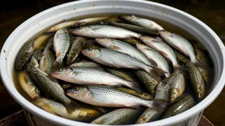 Не нож и не скребок: как ушлые мастера чистят рыбу от чешуи за считанные секунды — запомните раз и навсегда