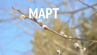 Что изменится для рязанцев с 1 марта: какие новые законы вступят в силу в начале весны