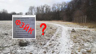 Это провокация: мэрия утверждает, что в школах и детсадах не агитируют голосовать за строительство в Лесопарке