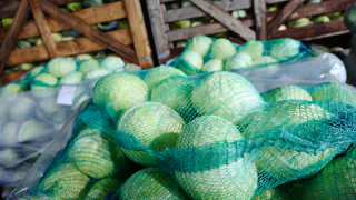 Аграрии Чувашии заложили на хранение более 160 тысяч тонн овощей