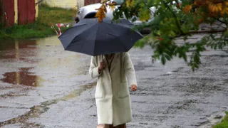 Днем 15 ноября в Рязанской области потеплеет до +2 градусов