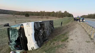 Ночью в Александровском районе автобус съехал в кювет