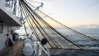 Названа страна-самый главный загрязнитель Мирового океана