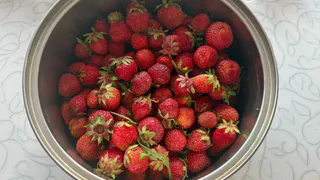 В августе первым делом пересаживаю клубнику этим способом — и весной собираю урожай как с картинки