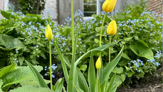 Власти рассказали, как Пенза будет праздновать Первомай