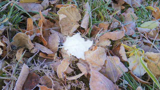 Погода на выходные в Рязани