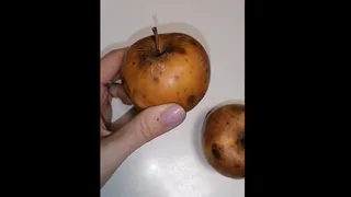 СМИ: на обед детям в школе №21 в Рязани дали гнилые яблоки