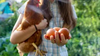 Приметы и запреты на 13 июля: все внимание яйцам