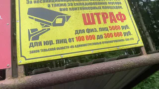 Во дворах Рязани развели настоящие свалки