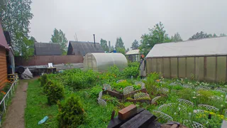 Сумма будет крупной: дачников предупредили о новых штрафах за прополку грядок