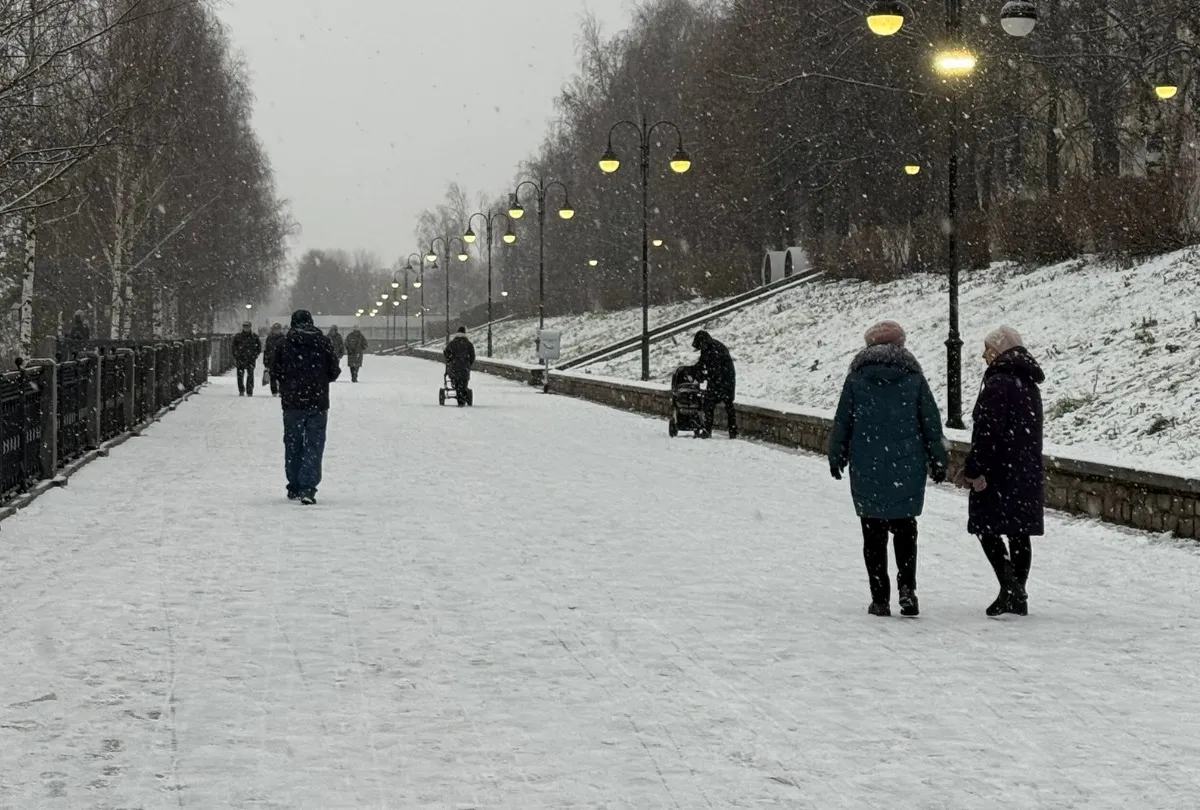 Правда ли в России повысят возраст молодежи до 60 лет? Вот главная причина изменений