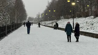 Правда ли в России повысят возраст молодежи до 60 лет? Вот главная причина изменений
