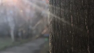 В региональном МЧС прогнозируют температуру -14°С в ночь на четверг