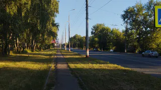 Каким будет лето 2025 после аномально теплой зимы: эксперты рассказали, к чему нужно готовиться всем садоводам и горожанам