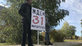 Обращение жительницы Дягилево: "Люди ходят пешком до остановки почти 2 километра"