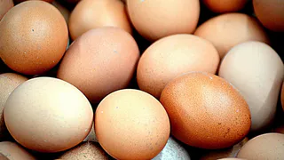 Брать белые или коричневые? Именно яйца такого цвета на самом деле оказались вкуснее и полезнее