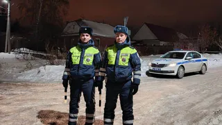 В Магнитогорске задержан грузовик с нелегальной древесиной