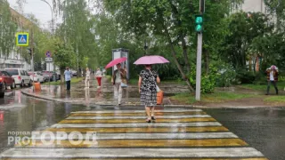 Хоть волком вой: астролог Василиса Володина назвала 2 знака, к которым беда свалится как снег на голову