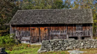 Житель глухой деревни нашел настоящий клад в России: сейчас копатели со всей страны съезжаются сюда – реальная история из глубинки