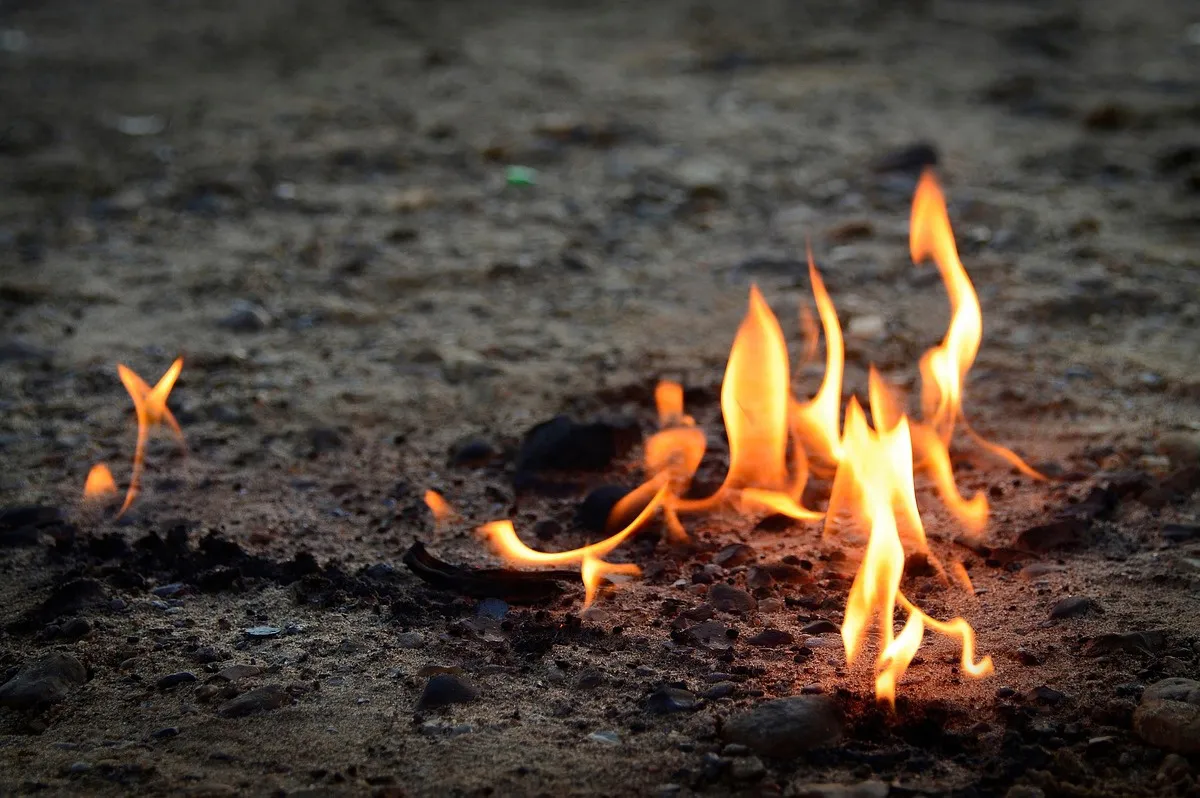 Жителям Магнитогорска напомнили об опасности тополиного пуха