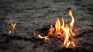 Жителям Магнитогорска напомнили об опасности тополиного пуха