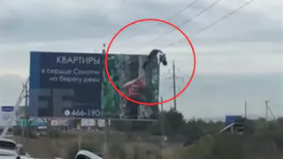 Рязанец попытался поменять баннер на рекламном щите и погиб от удара током