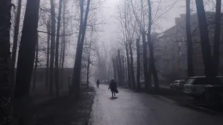 Резкое похолодание и туман накроют Рязанскую область: прогноз от МЧС