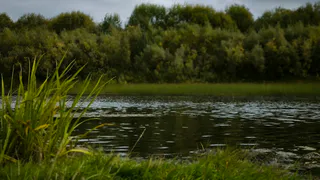 В Челябинской области завершено восстановление Киалимского водохранилища: проблемы с питьевой водой решены
