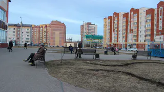 В Коми будут отлавливать пьяниц за рулем