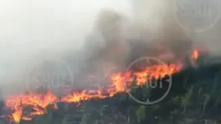 Эпицентр крупного лесного пожара в Рязанской области сняли на видео