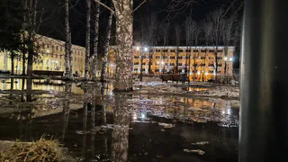 Каким будет лето 2025 после аномально теплой зимы: эксперты ответили, к чему стоит готовиться садоводам