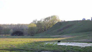 Рязань в списке худших: жители России выбрали города с лучшей экологией