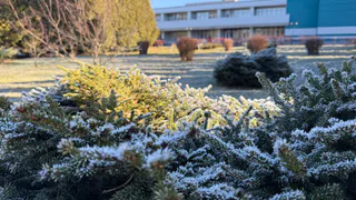  В Рязанской области ожидается снежный циклон с дождем и снегом