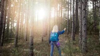 Этот ценный лесной дар теперь под запретом: россиянам запретили его собирать