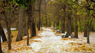 На этой неделе Рязань ждет наступление зимы