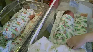 В начале 2025 года в Кузнецке появилось на свет пять малышей